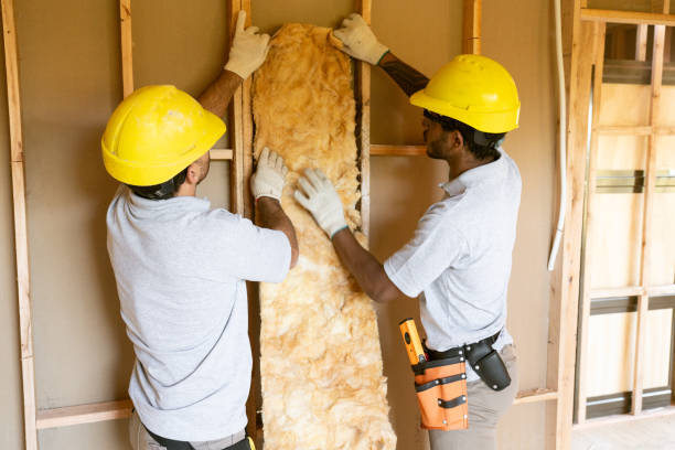 Best Home Insulation Services  in , MA